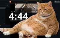This Cat Gatekeeper browser extension blocks you from doomscrolling on social media