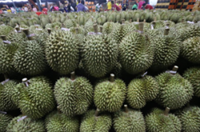 China's durian boom is ripening into a regional supply-chain story: Economic Watch