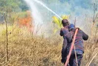 Brunei records surge in forest, bush fires amid extreme heat