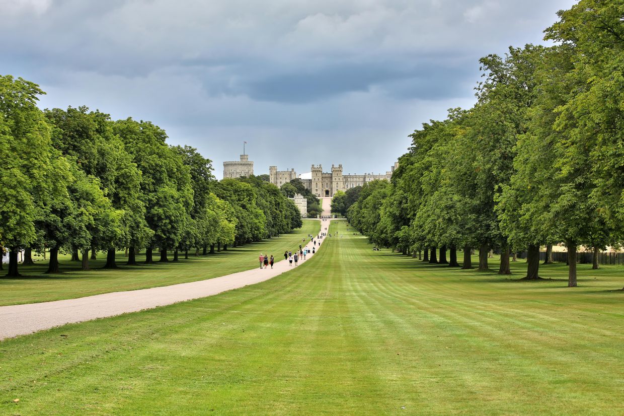 Harry Potter is one of the many movies that were filmed at Windsor Great Park in Berkshire. — Pexels
