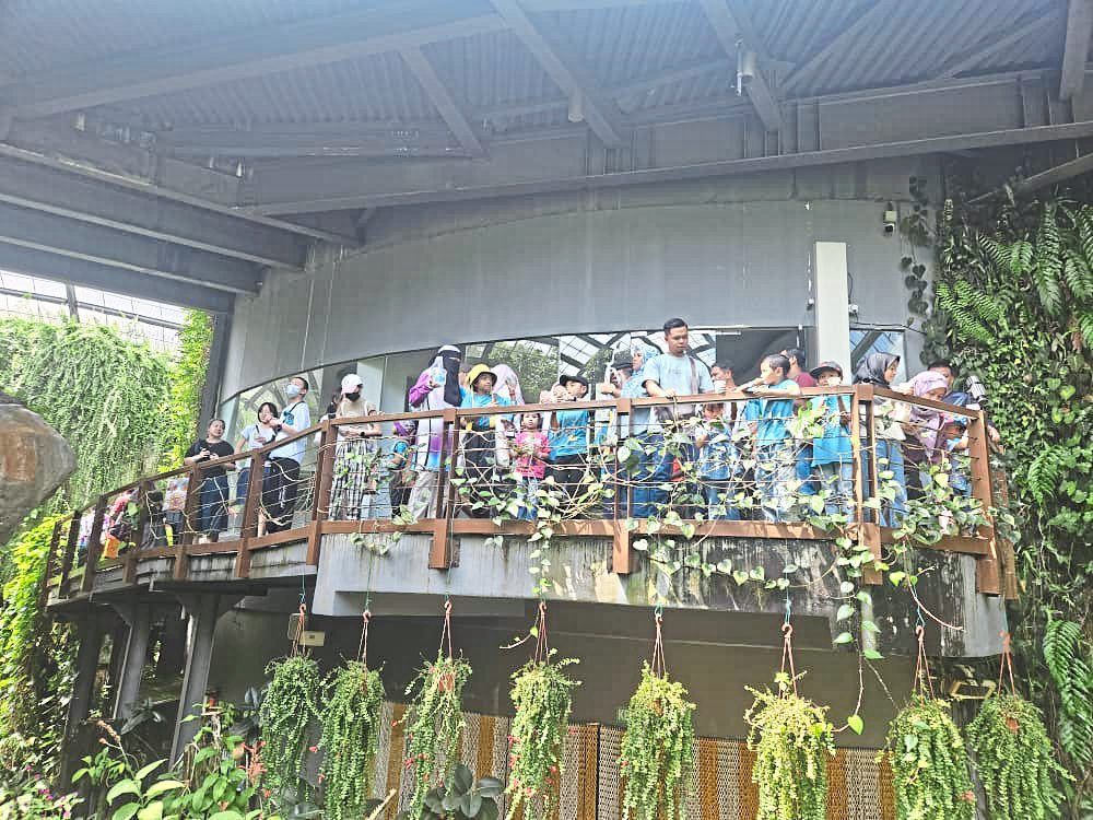 The children and their families enjoying a day out at Entopia by Penang Butterfly Farm.