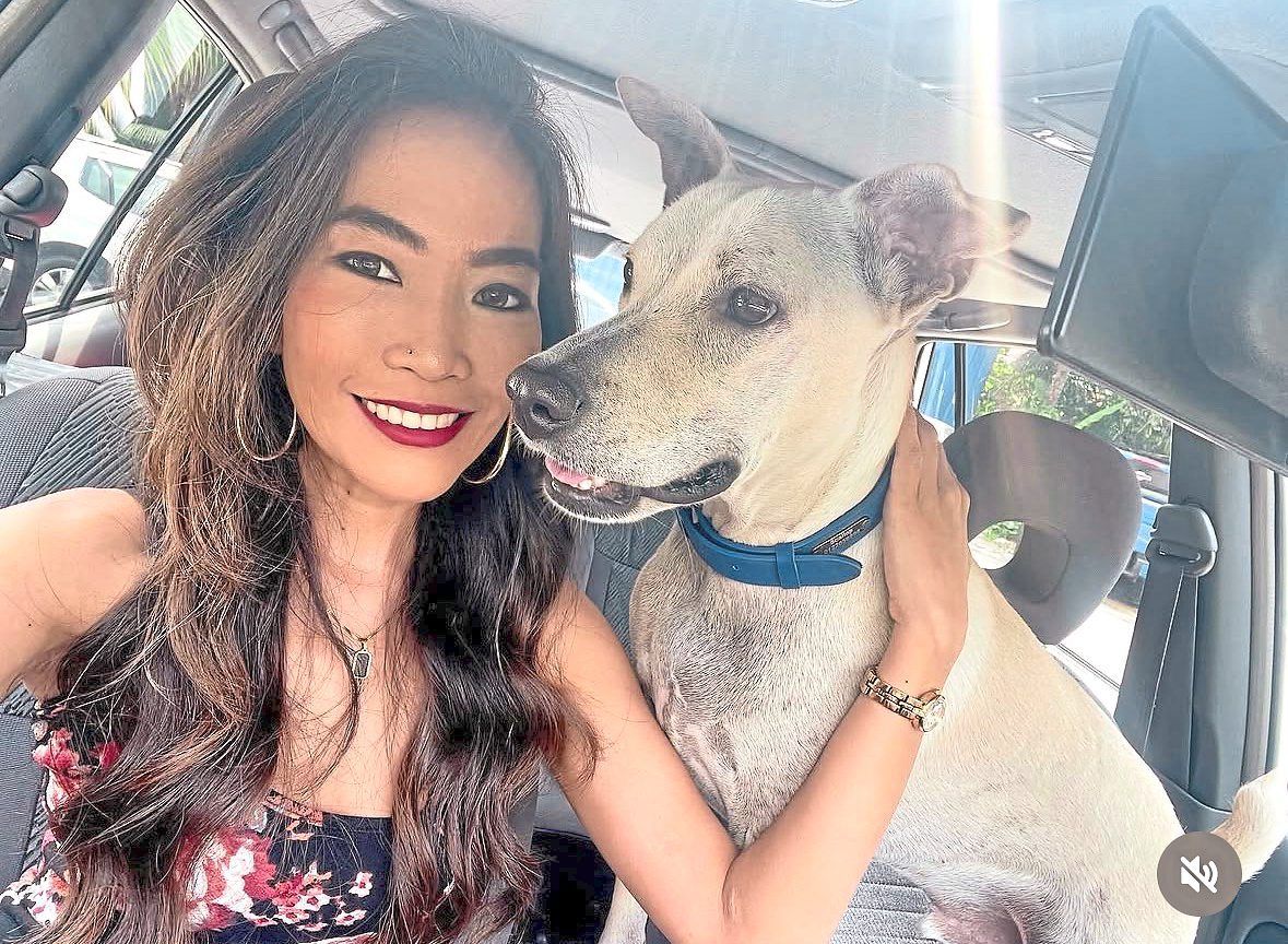 ProjekPawPicks is a national dog adoption programme, says Kong. Photo: Sue Ann Kong