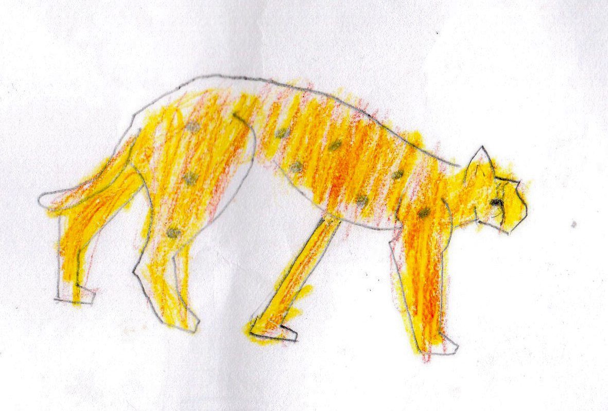 Jacob Lau, 8