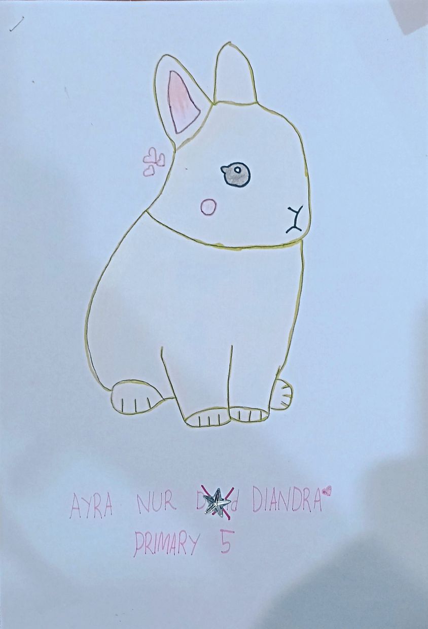 Ayra Nur Diandra, 11
