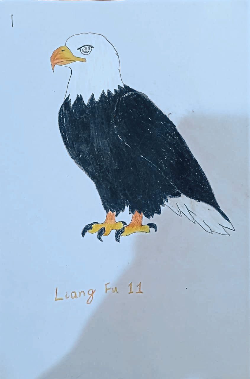 Liang Fu, 11