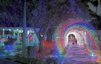 PJ light show ignites debate