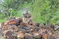 Beyond the map – A planter’s calling