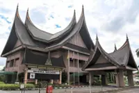 Five NGOs back Negri Ruler, say removal by chieftains unconstitutional