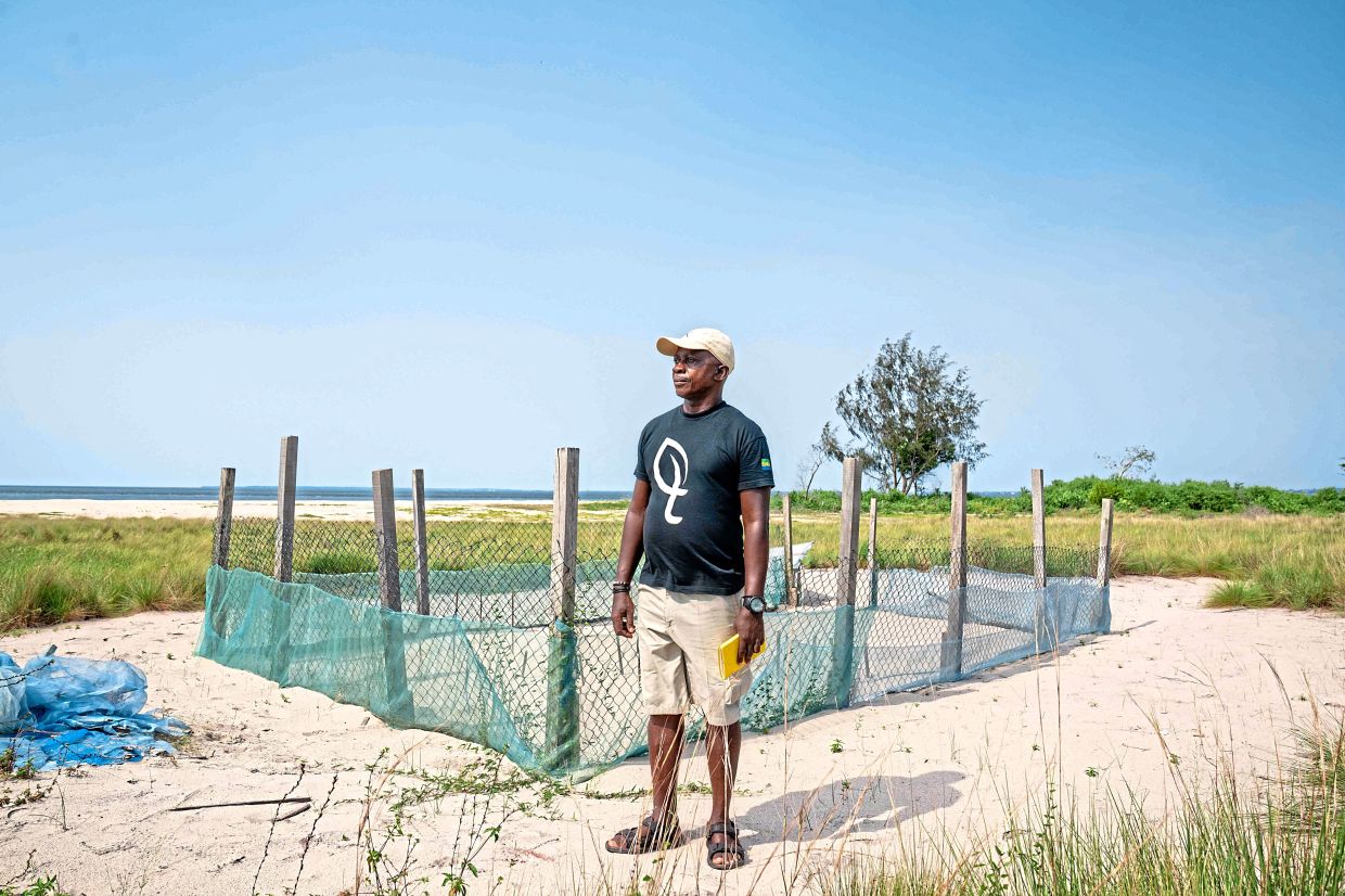 Boussamba working at a turtle egg hatchery in Pongara National Park near Libreville. — AFP 