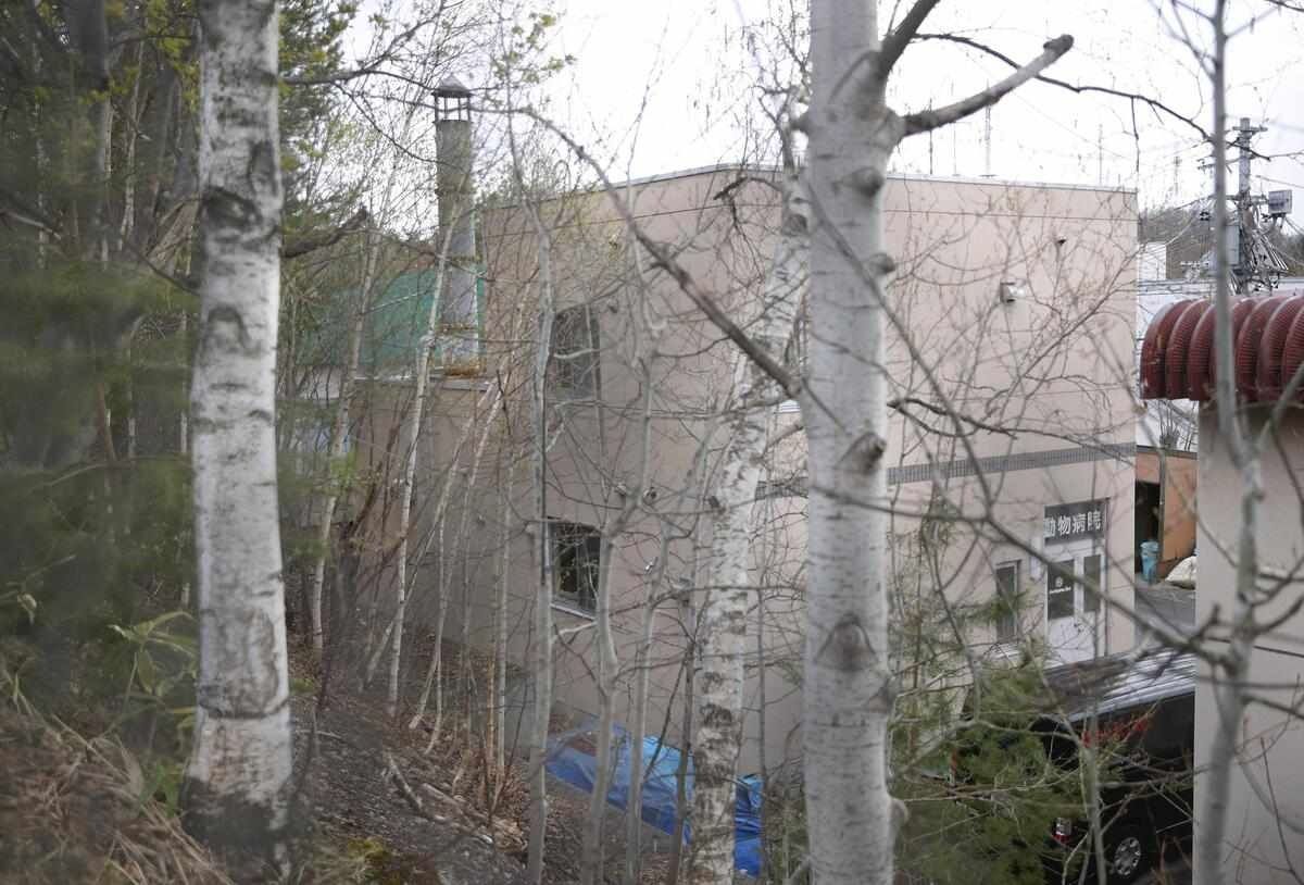 Suzuki is suspected of carrying the body of his wife, Yui, also 33, into the zoo and burning it in the incinerator on or around March 31.