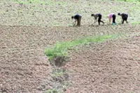 Food shortages loom as ‘severe’ dry spell threatens crops