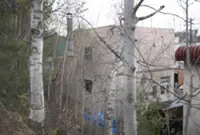 Zoo employee arrested for allegedly damaging wife’s body in Japan