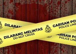 Victim found with 61 stab wounds a college student, say cops
