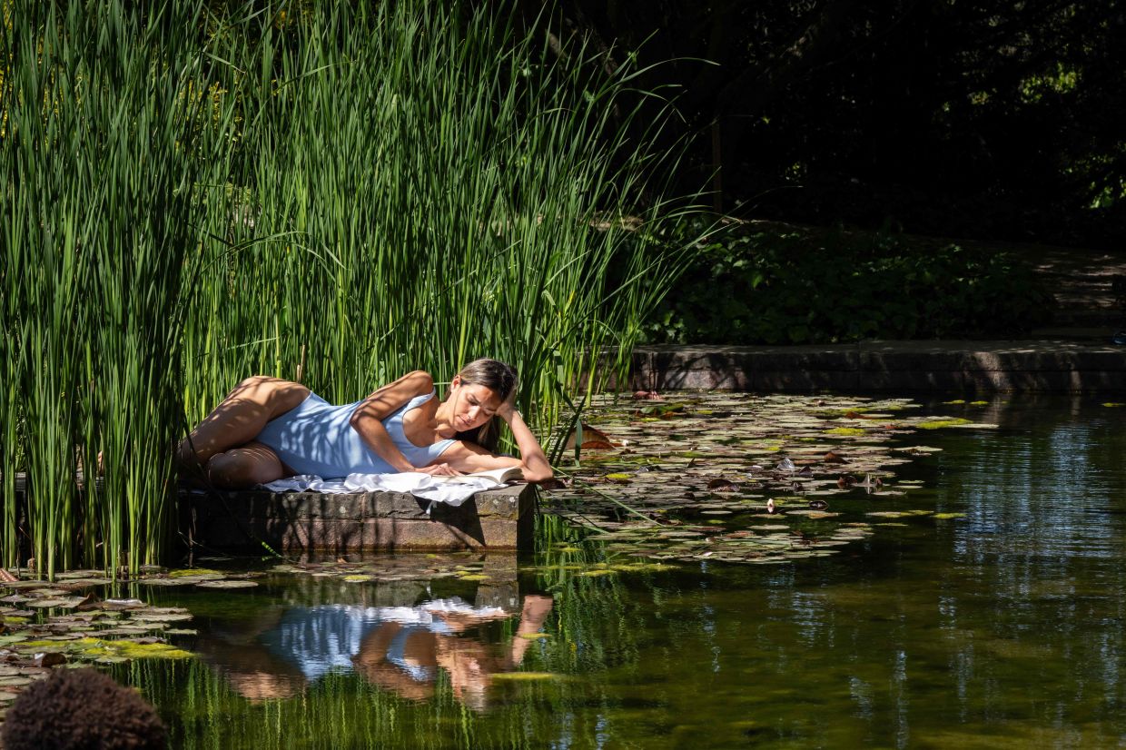 In the museum garden, visitors sunbathed on the lawn or by a pond bordered by water lilies and rushes. Photo: AFP