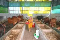 Biogas use easing fuel crunch