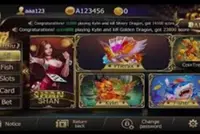 Myanmar arrests 43 Chinese nationals fleeing illegal online gambling operations in Northern Shan State