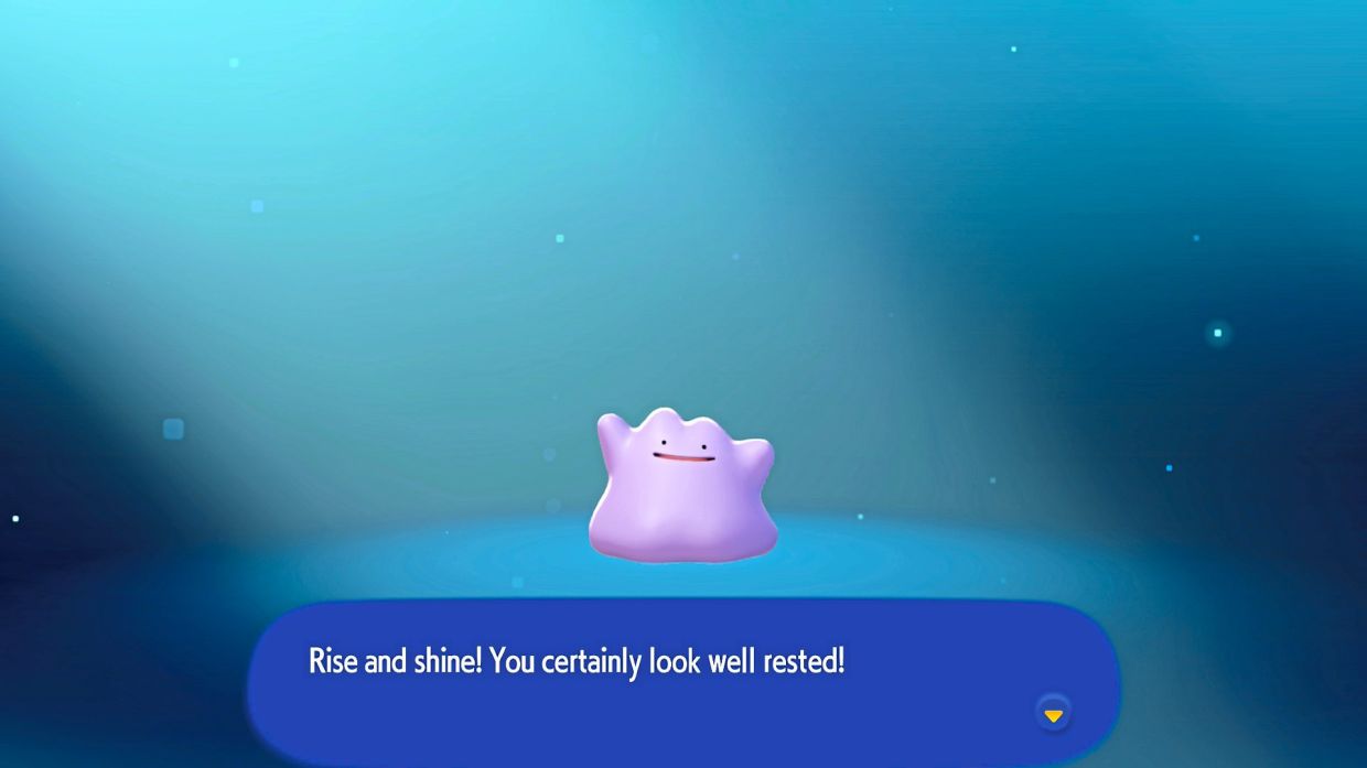 It's Ditto time!