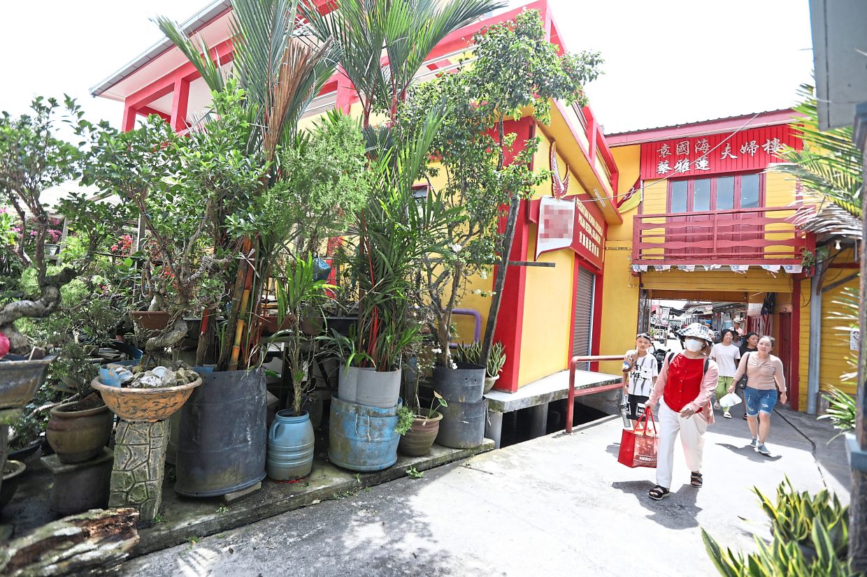 Tourism Selangor is hoping to entice cruise passengers on stopover at Port Klang to visit nearby villages such as Pulau Ketam. — Filepic
