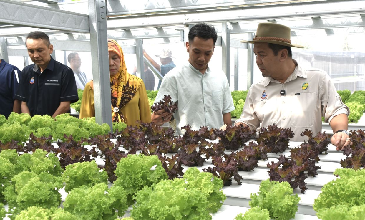 Jamawi said integrated operations involving these agencies are needed to protect the income of local farmers in Sabah.