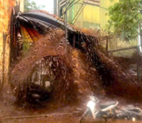 Thousands of tonnes of molasses spill after lightning strike in Vietnam's Nghe An province