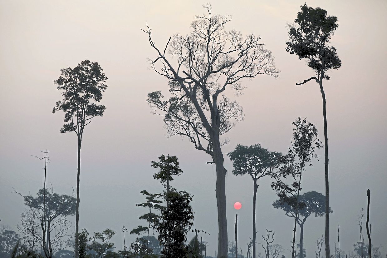 After struggling for years to track and punish deforestation across the world's largest rainforest, Brazil is recruiting new allies in the battle to protect the Amazon: bank managers.