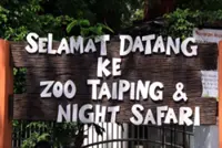 Welfare of jumbos in Osaka under constant watch, says Perak exco member
