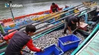 Cost tsunami hits Thailand, energy shock ripples through key sectors