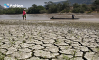 El Nino impact puts 41 Thai provinces at risk of water shortages