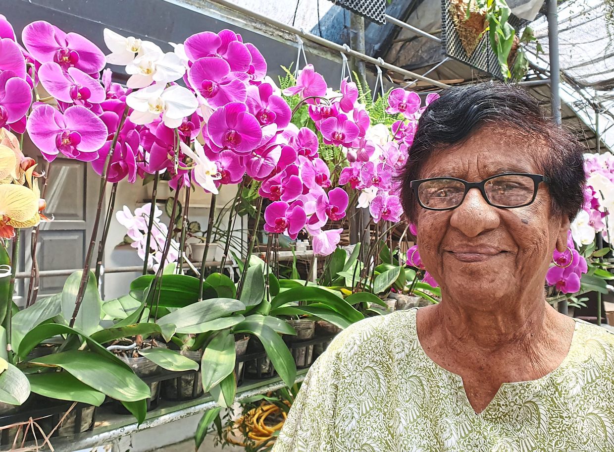 Besides petunias, Annie has always had a fondness for orchids.