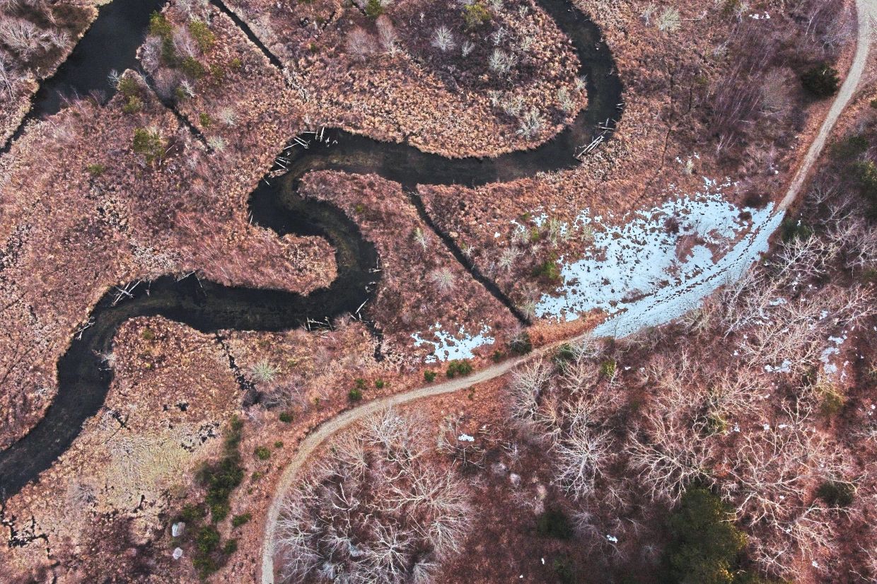 A stream runs through Tidmarsh Wildlife Sanctuary.