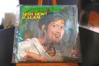 In tune for Sharifah Aini tribute