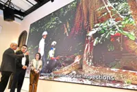 Satellite tech deployed to track urban tree health in Penang
