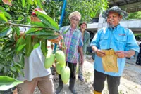 Idle land to shared livelihood