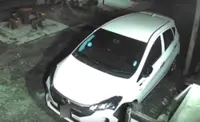 QuickCheck: Was there a failed break-in attempt in Ayer Tawar?