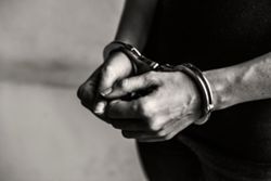 Man held over alleged felling of protected gaharu tree in Melaka