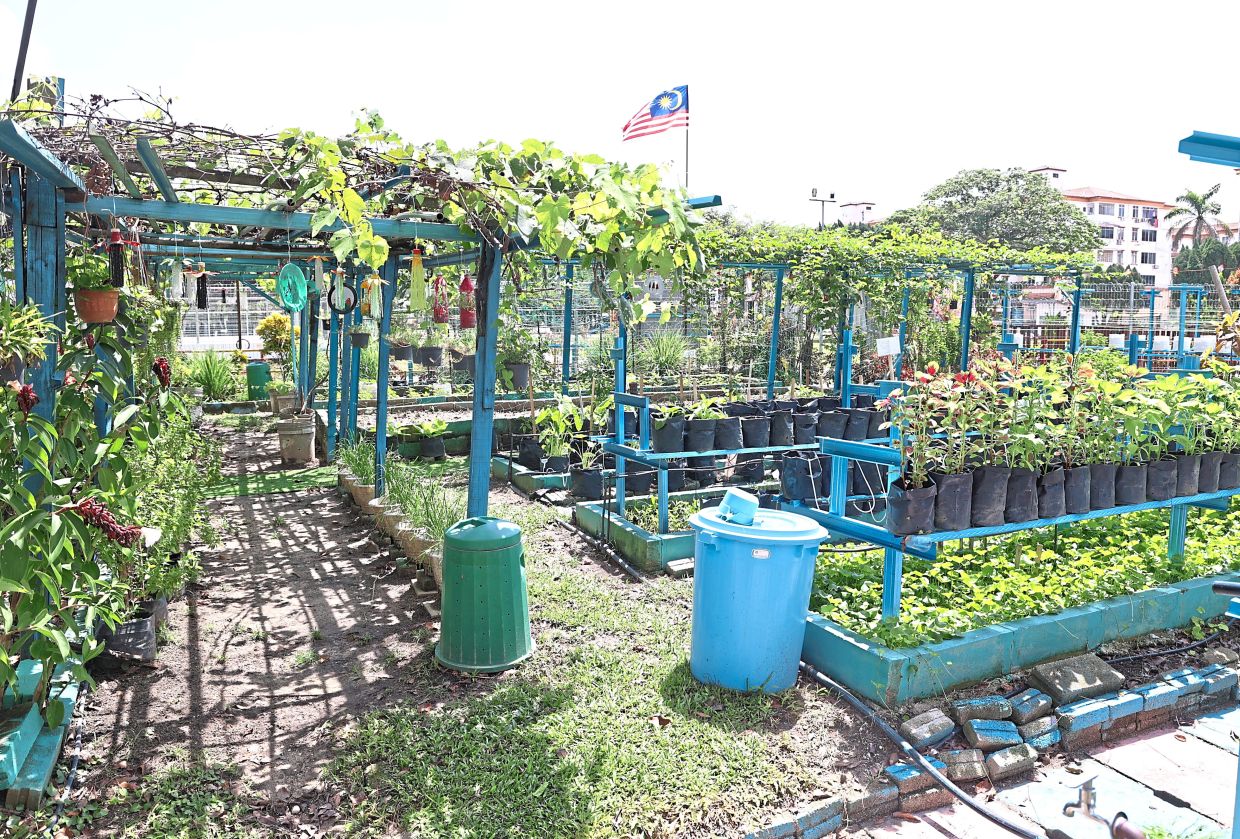The urban garden started off as a small neighbourhood project in 2018 by residents. 