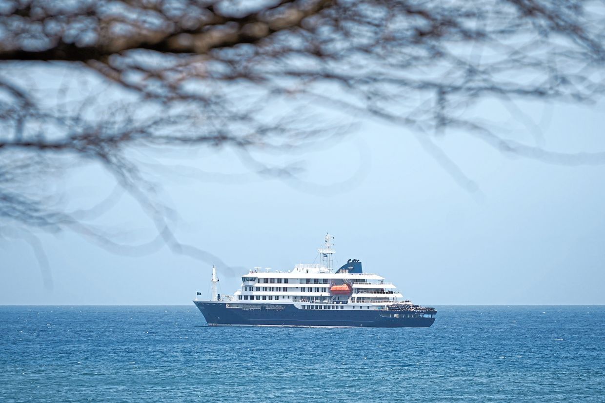 The WHO said detailed investigations of the cruise ship outbreak are ongoing, including further laboratory testing.