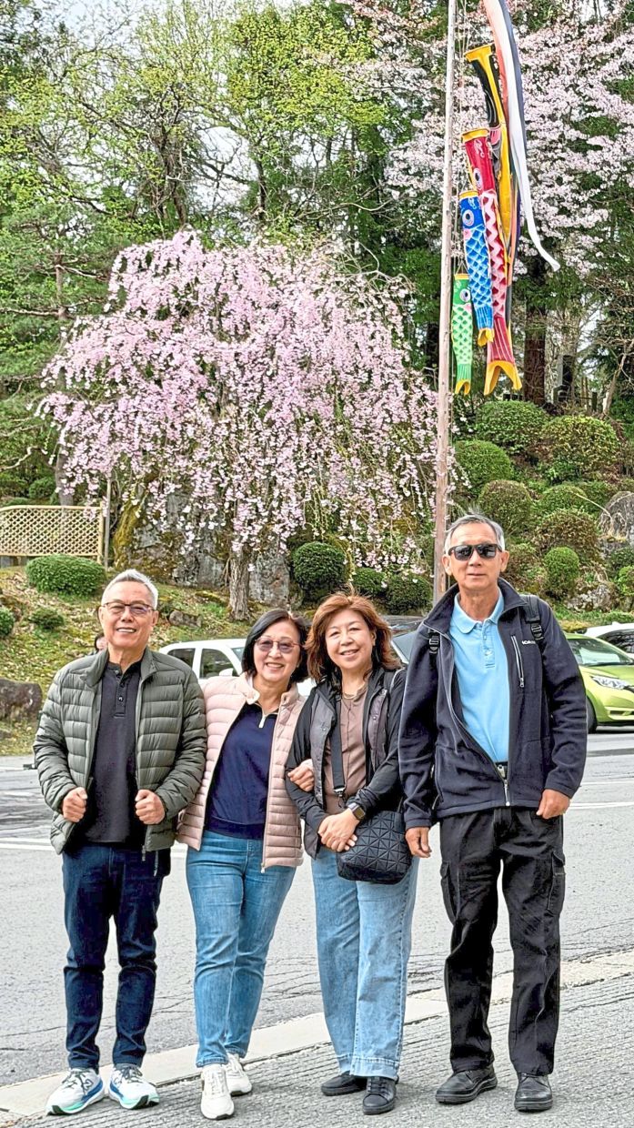 Sakura and koinobori appear together in spring, symbolising fresh beginnings for the year. Photos: LEESAN