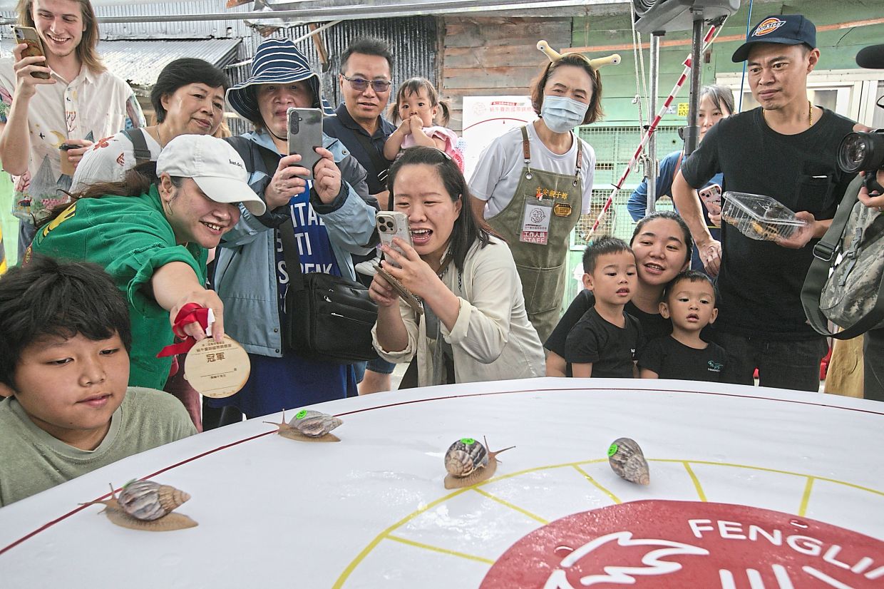 People cheering during the snail race.