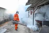 Dengue threat looms as floodwaters subside
