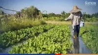 Farmers seek govt’s help to keep food prices down