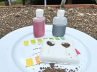 Soil is the foundation of your garden. Here's how you keep it healthy