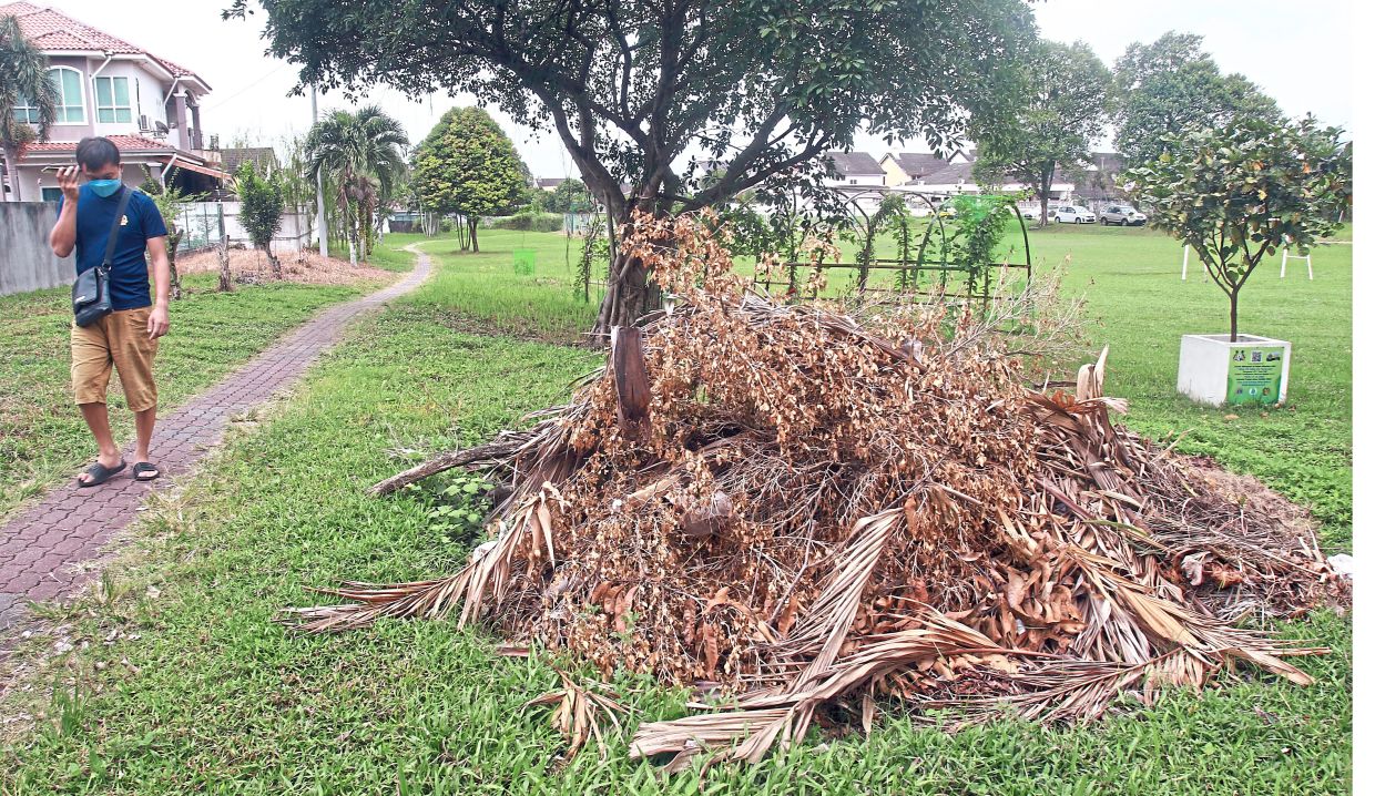 Garden waste including tree branches should be tied up securely into manageable bundles. — Filepic