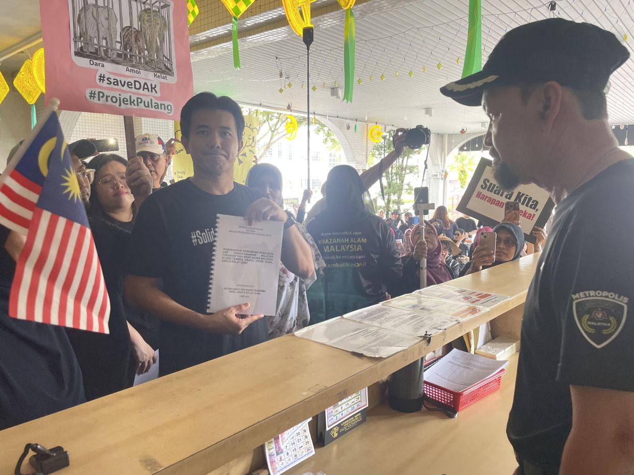 Speaking at a solidarity gathering for the elephants, “Solidarity with DAK Secretariat” coordinator Neow Choo Seong said the Federal Government should set up a special task force.