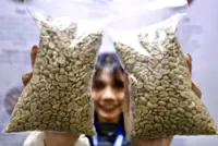 INTERACTIVE: Climate woes brewing higher coffee bean prices