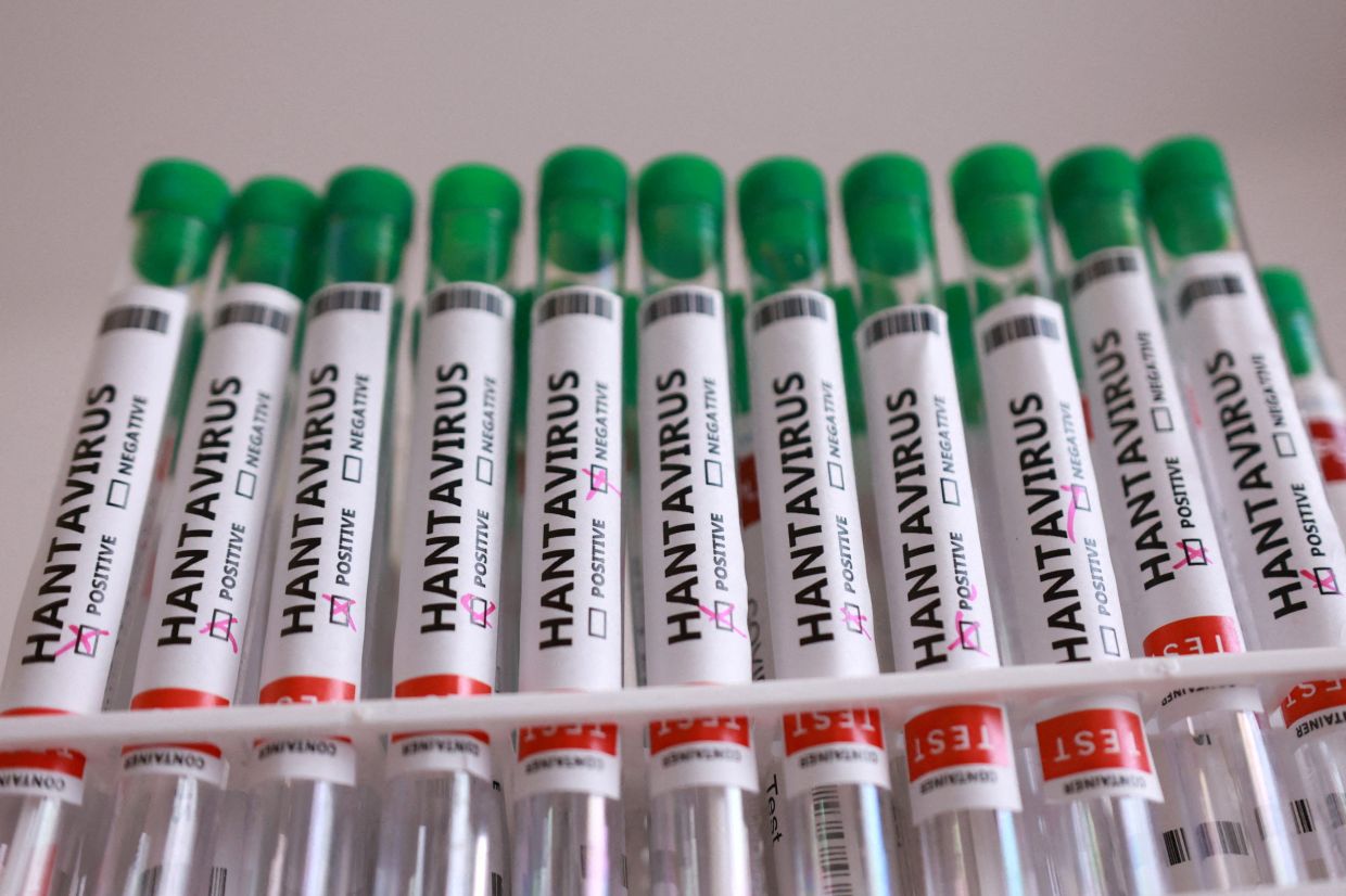 Hantavirus is a rodent-borne virus transmitted to humans through air contaminated with rat urine, droppings or saliva.