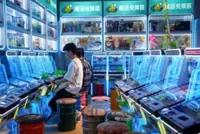 Hong Kong’s pinball wizards and claw fans defend arcade thrills as curbs loom