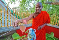 Top monk nabbed over alleged sex abuse