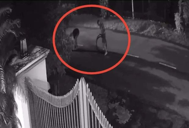 QuickCheck: Were thieves caught on camera stealing cables in Shah Alam ...