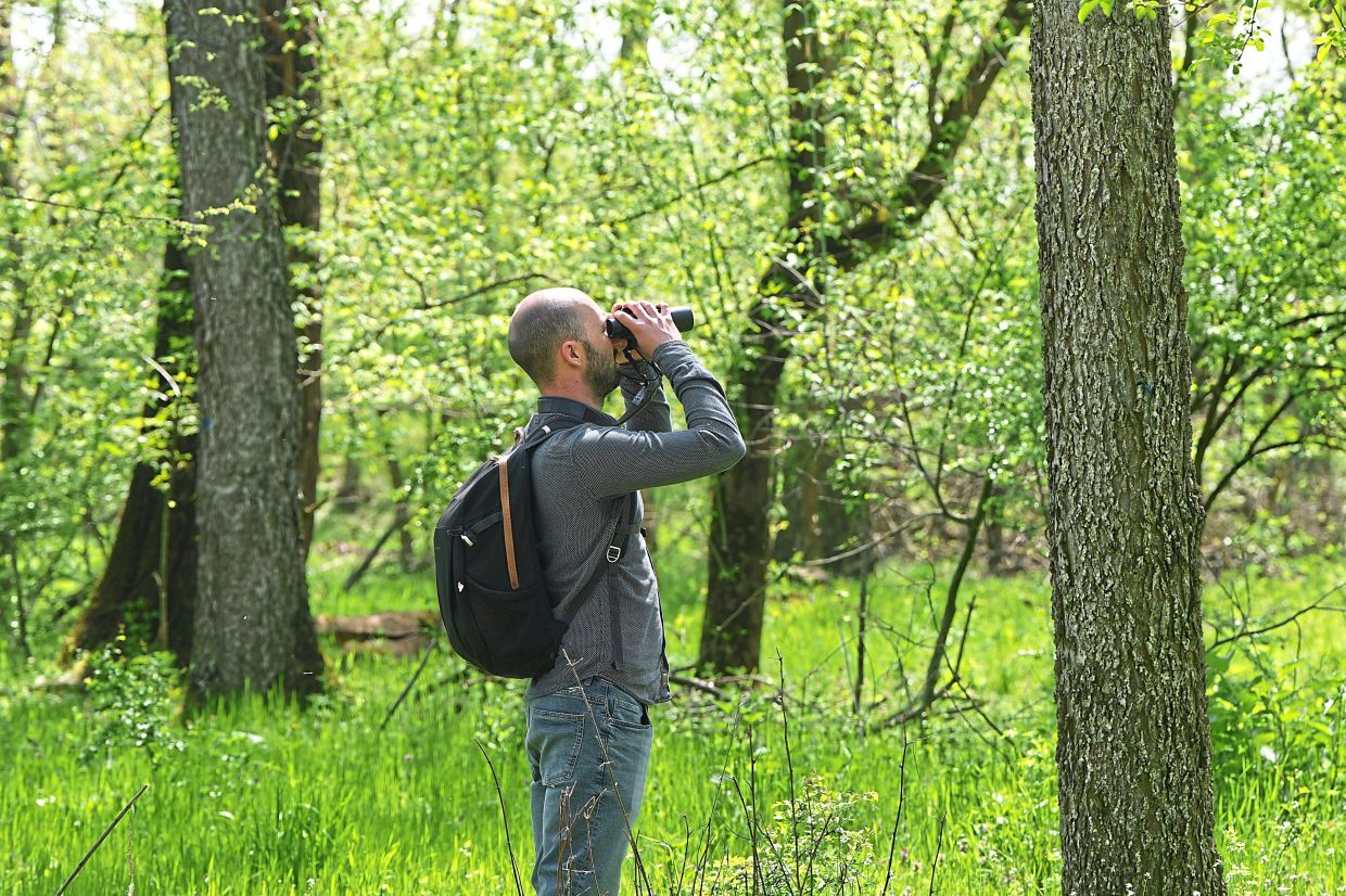Stojiljkovic looks through binoculars while watching birds in the Nightingale's Forest.